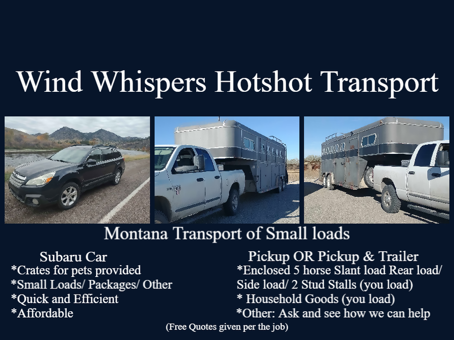#Transport #Hotshottransport #Collietransport